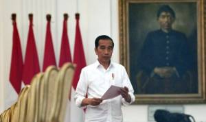 53116-jokowi