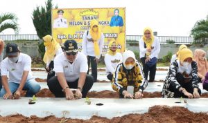 lampung-kembangkan-agrowisata-hingga-desa