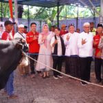 IMG-20250606-WA0063(1)
