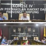 IMG-20260213-WA0017